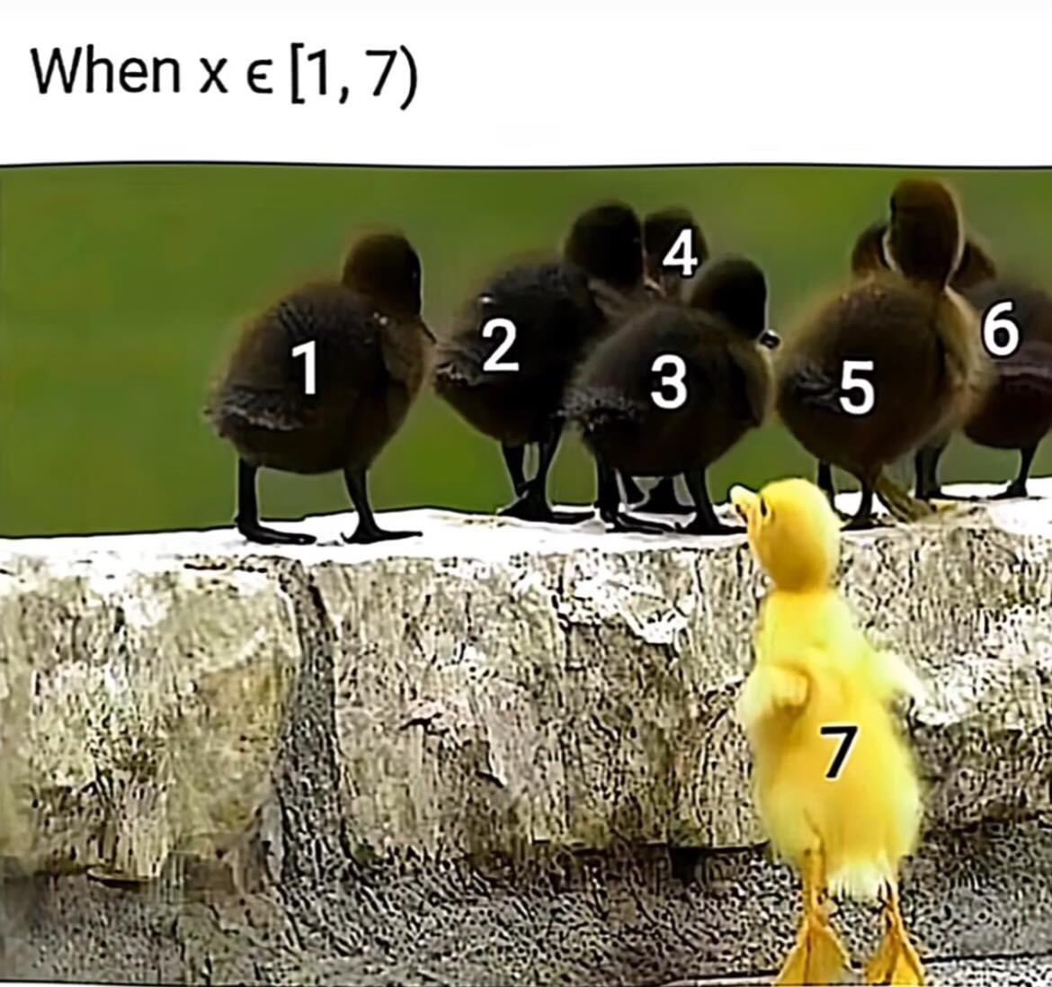 Mathieu (@miniapeur) on Twitter photo 