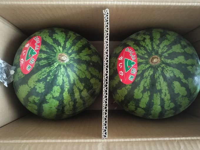 スイカのツイートばっかりしてるなぁ笑 それほどスイカにハマってます🍉  この前PayPayいただいたのもプラスして2つ😁 私のおっぱいよりも大きいスイカ❤️ おしりと同じぐらいかなぁ？🤔 https://t