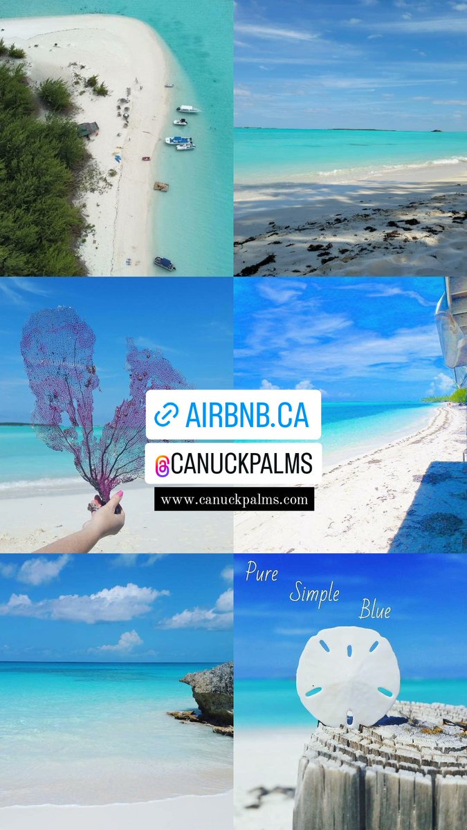 airbnb.ca/rooms/4594010?…