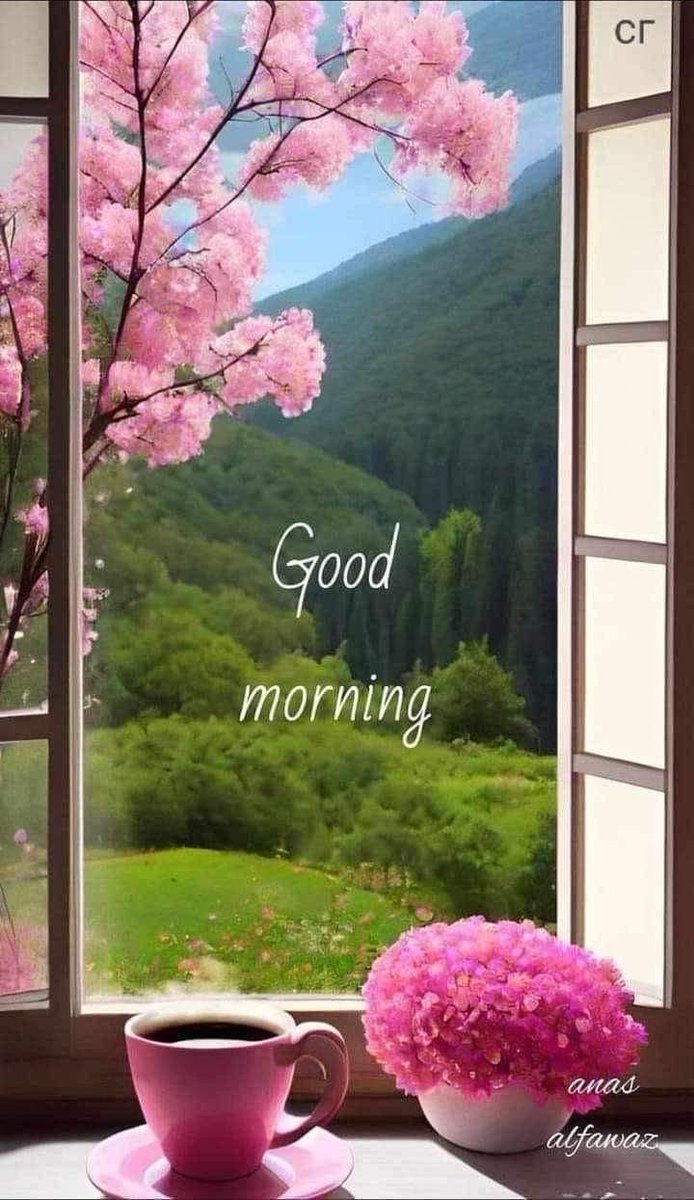 Good morning 
X family have a good day 🌞🌺🌺