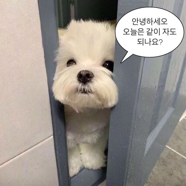 저랑일일커플로 관클가실분 없나요? ㅠㅠ
울산초대남 #관클