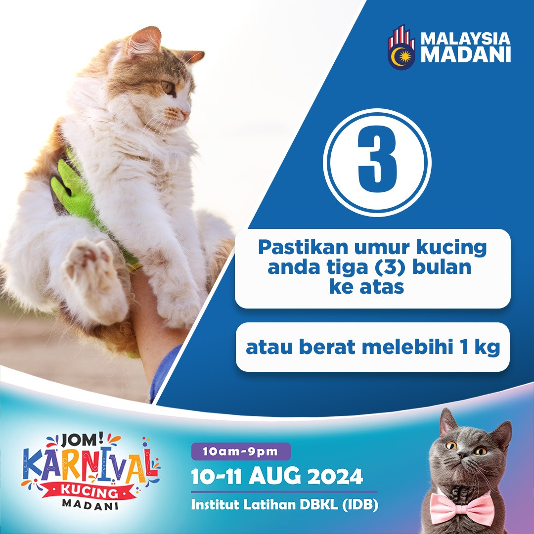 rakankucing's tweet photo. 🌟 Attention Cat Parents🙋🏻‍♂️🙋🏻‍♀️ You know how awful the feeling is when your cat is missing, don't you? Worry no more! With pet microchips, your contact details will be your kitty and you can be contacted when they're lost and found. 

🐱Don’t miss your chance to get a pet passport https://t.co/QIujKy9QjL