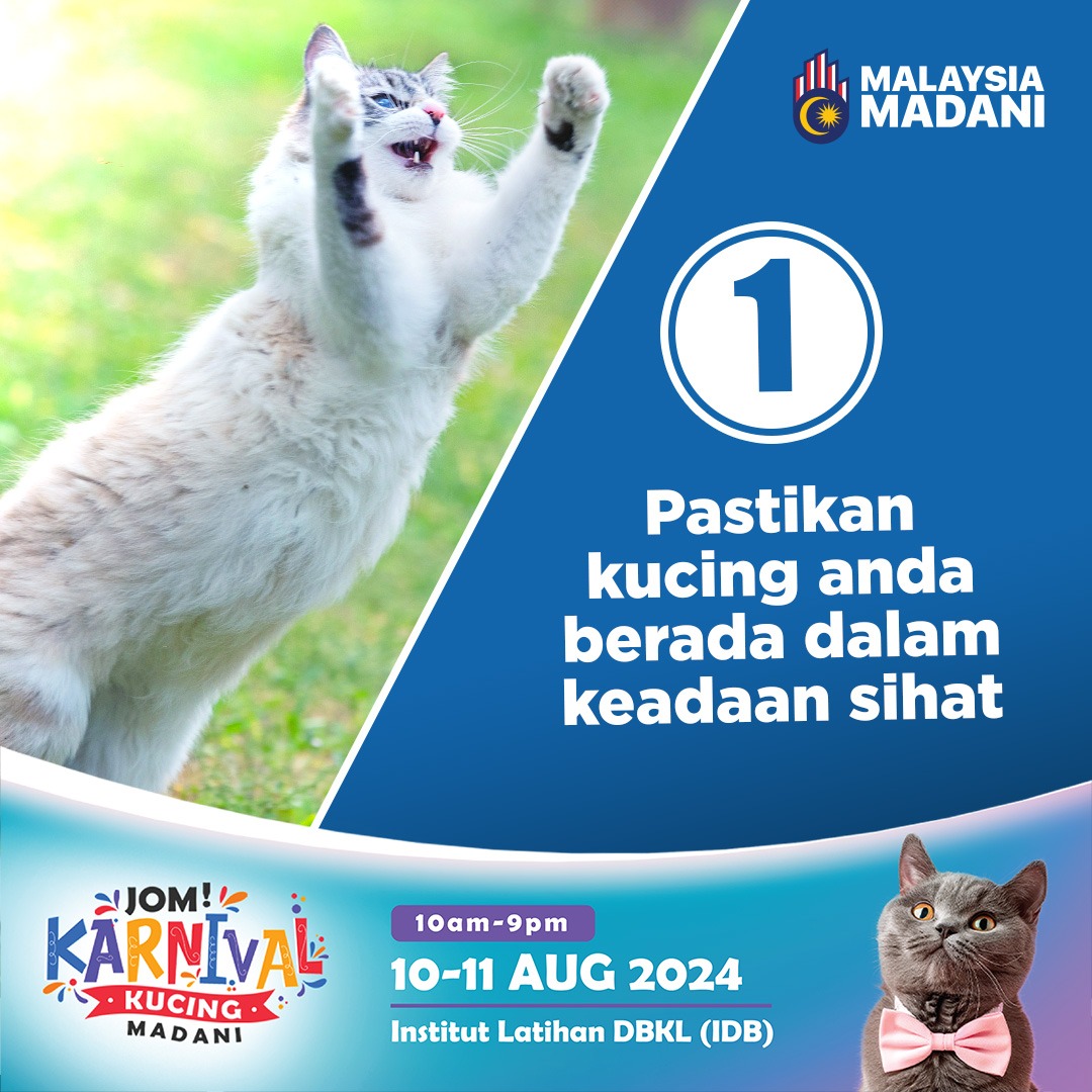 rakankucing's tweet photo. 🌟 Attention Cat Parents🙋🏻‍♂️🙋🏻‍♀️ You know how awful the feeling is when your cat is missing, don't you? Worry no more! With pet microchips, your contact details will be your kitty and you can be contacted when they're lost and found. 

🐱Don’t miss your chance to get a pet passport https://t.co/QIujKy9QjL