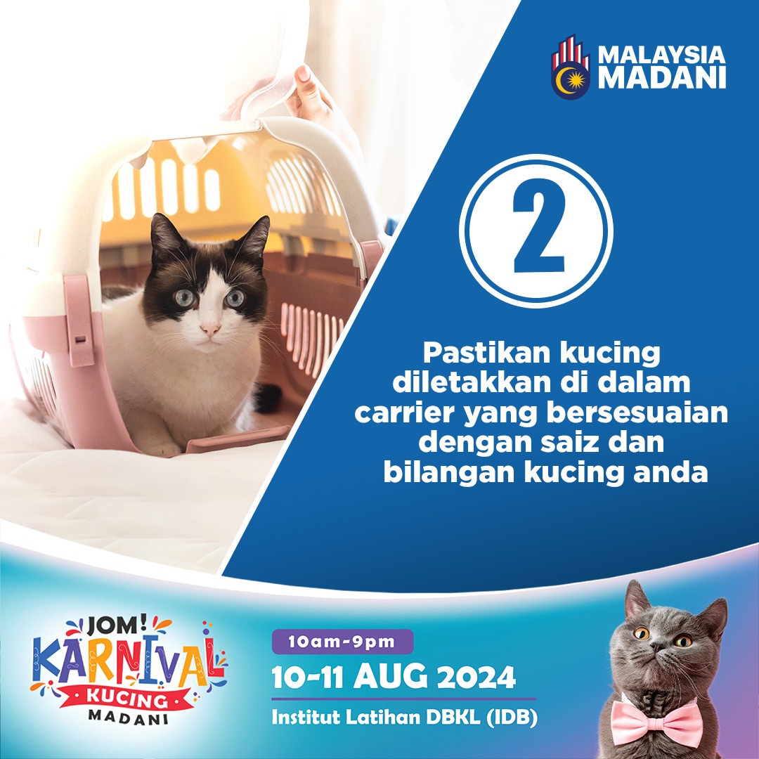 rakankucing's tweet photo. 🌟 Attention Cat Parents🙋🏻‍♂️🙋🏻‍♀️ You know how awful the feeling is when your cat is missing, don't you? Worry no more! With pet microchips, your contact details will be your kitty and you can be contacted when they're lost and found. 

🐱Don’t miss your chance to get a pet passport https://t.co/QIujKy9QjL
