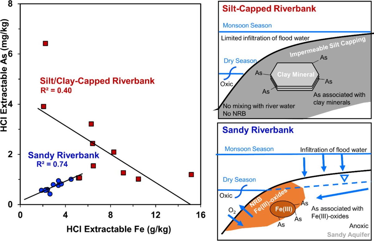 Happy to share that Dr. <a href="/harshadenv/">Harshad Kulkarni</a>, <a href="/SCEnE_IIT_Mandi/">SCEnE, IIT Mandi</a>, co-authored a paper in the Journal of Hydrology on the impact of surficial lithology on arsenic mobility in riverbanks of tidally fluctuating rivers.

tinyurl.com/29y3vm2s

<a href="/AECBL_IITMandi/">AECBL@IITMandi</a> <a href="/iit__mandi/">IIT Mandi</a>
