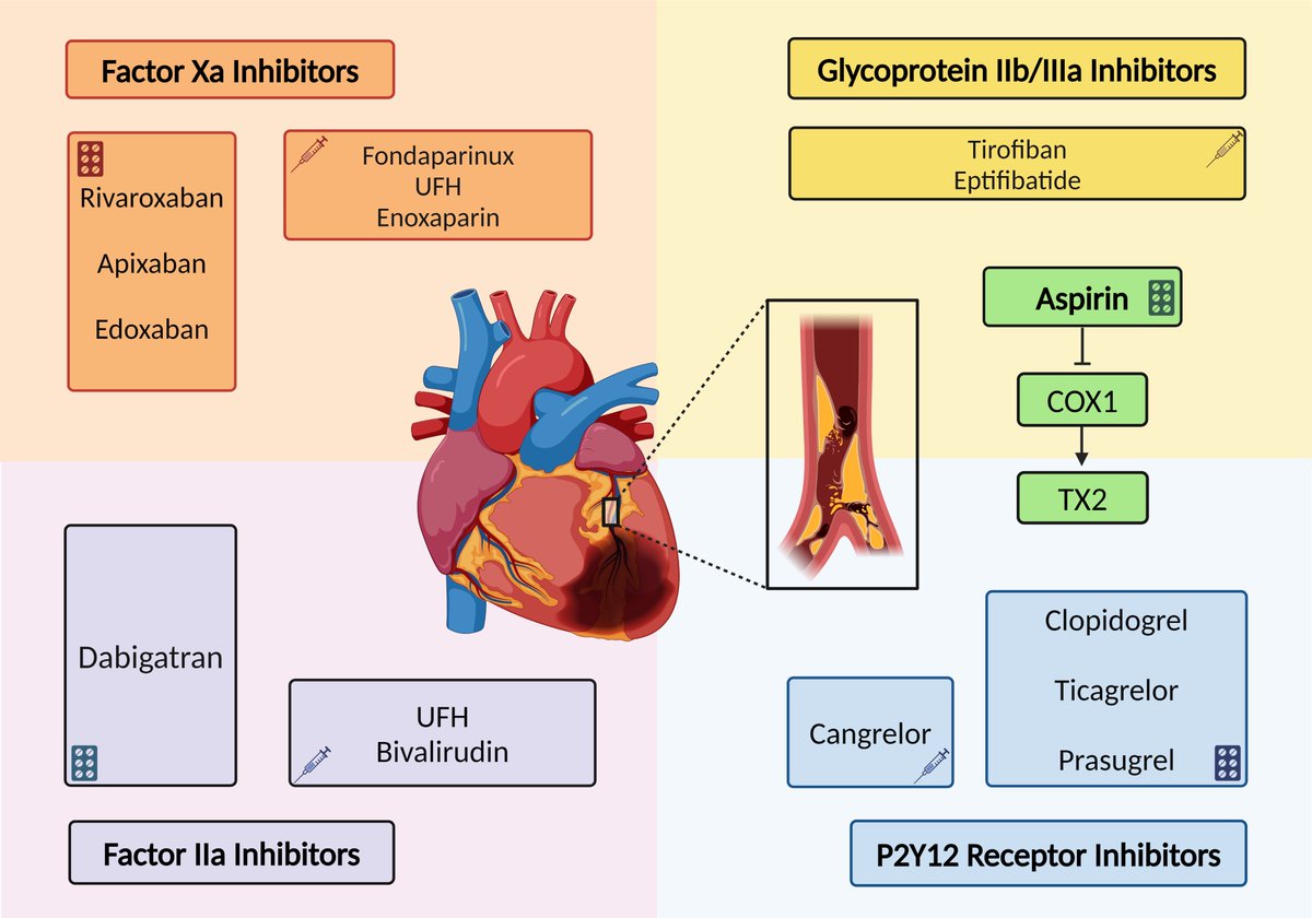 Susie Sun (@susiesu11733465) on Twitter photo #RCM Newly Review:
📚"Current #Antithrombotic Treatments for #Cardiovascular Diseases: A Comprehensive Review" from <a href="/KristianGalanti/">Kristian Galanti</a>; <a href="/mansour_davide/">Davide Mansour</a>; <a href="/dokardio/">Daniele Forlani</a>; <a href="/fabrizioricci/">Fabrizio Ricci</a>; <a href="/Dimarco68Di/">Massimo Di Marco</a> et al.
#anticoagulation #antiplatelet
🎁Welcome to read:
imrpress.com/journal/RCM/25… #RCM Newly Review:
📚"Current #Antithrombotic Treatments for #Cardiovascular Diseases: A Comprehensive Review" from <a href="/KristianGalanti/">Kristian Galanti</a>; <a href="/mansour_davide/">Davide Mansour</a>; <a href="/dokardio/">Daniele Forlani</a>; <a href="/fabrizioricci/">Fabrizio Ricci</a>; <a href="/Dimarco68Di/">Massimo Di Marco</a> et al.
#anticoagulation #antiplatelet
🎁Welcome to read:
imrpress.com/journal/RCM/25…
