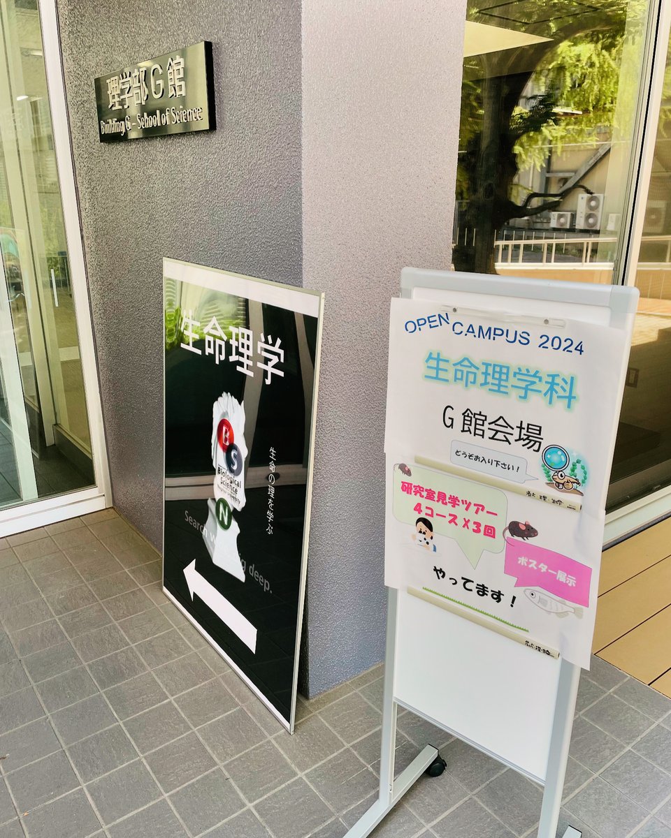 MN_T_SU's tweet photo. 今年も、名古屋大学理学部生命理学科オープンキャンパス始まりました！🌱🔬🪰🌾🐀🌸#オープンキャンパス #名古屋大学 #理学部 https://t.co/tTwWKjSdrf