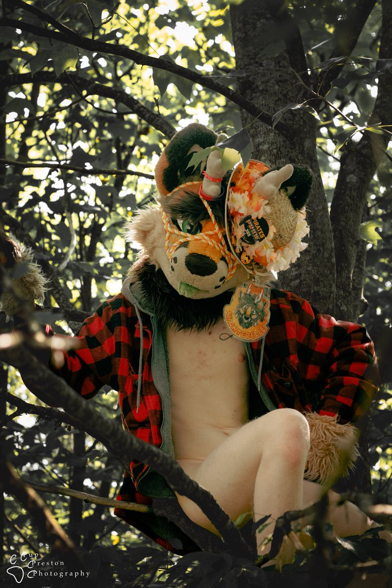 I looked up just at the right time to be able to capture this amazing shot of this cute critter while they were hiding up in the trees. I must of spooked it on my hike.  🦌 <a href="/The_RedAdmiral7/">Admiral 🔞</a>