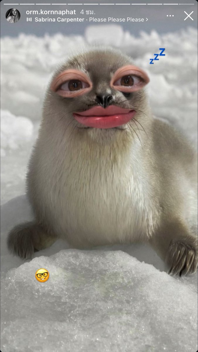 บุ๊ซ์นบุ่ซ์นชน์ tweet media