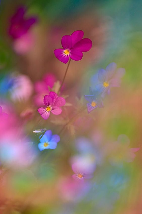 미나2014 (@minak2014) on Twitter photo 