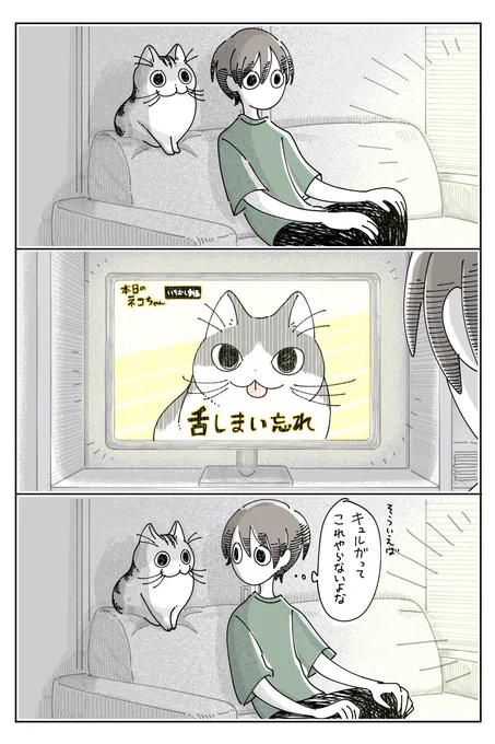 舌しまい忘れ https://nekonavi.jp/catblog/archives/83731