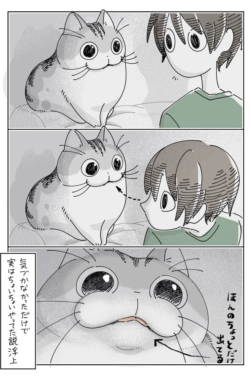 kyuryuZ's tweet photo. 舌しまい忘れ
https://t.co/rRBdSTafR5 https://t.co/SJOVRl9rga