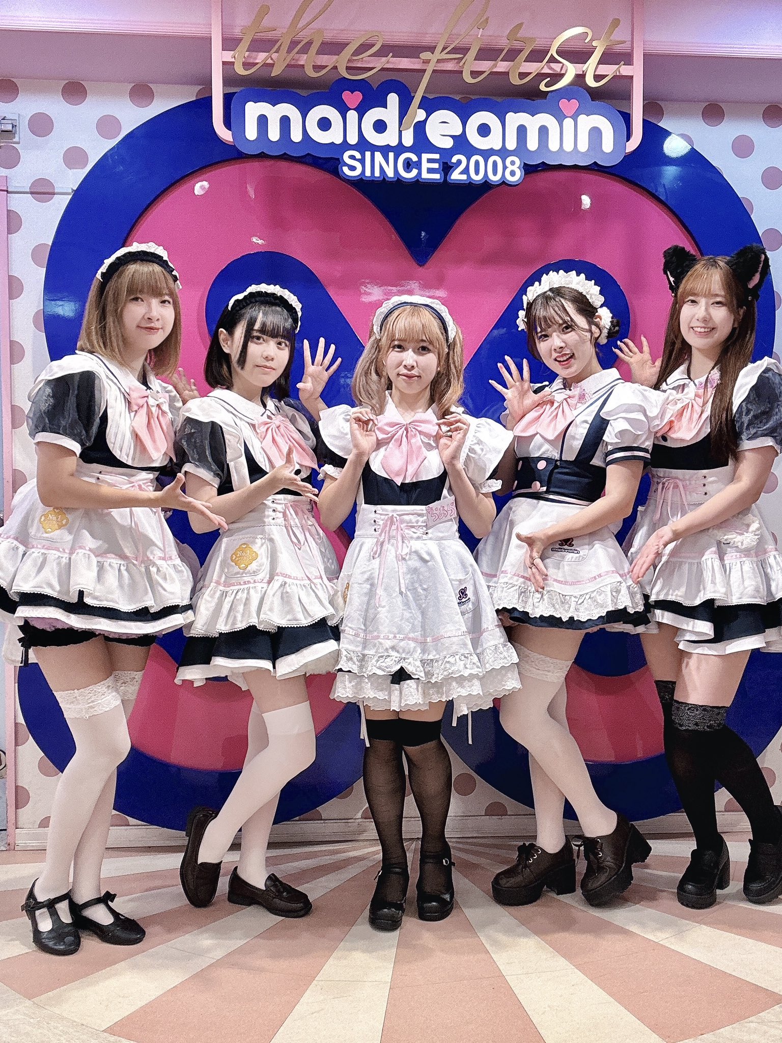 公式】めいどりーみん本店 on X: 