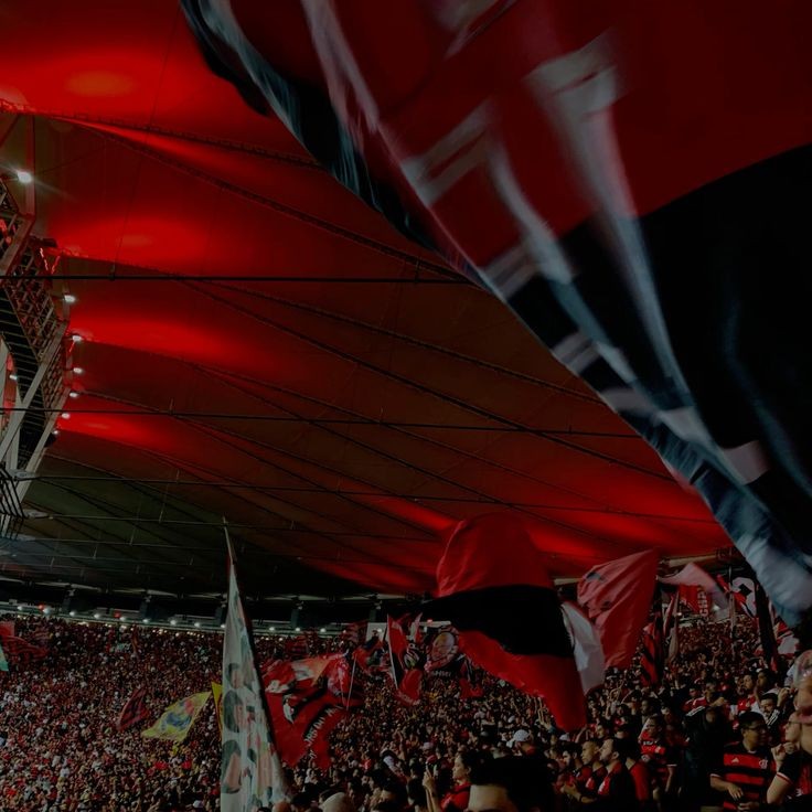 crfmilla__'s tweet photo. “a torcida mais bela.” ♡ https://t.co/1Ww2VBhkri