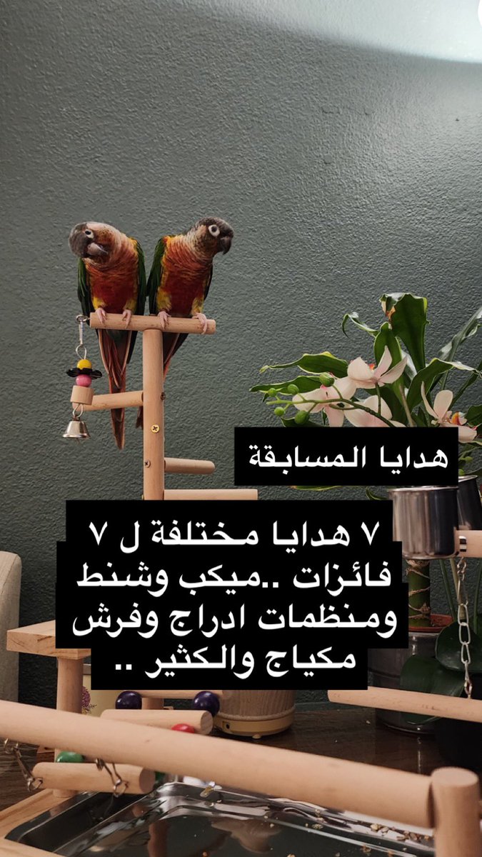 dantellah_dress's tweet photo. المسابقة على سناب تعالوا يمديكم تشتركوا #مسابقة #هدايا #اكسبلور #اكسبلور_فولو #مسابقات #التعاون_النصر #الجمعة https://t.co/6ERTyG1kEO