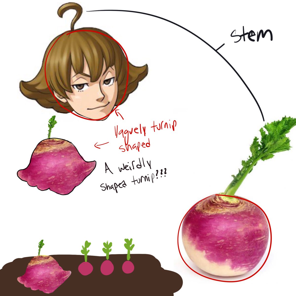 I made a diagram! Art isn’t my specialty though