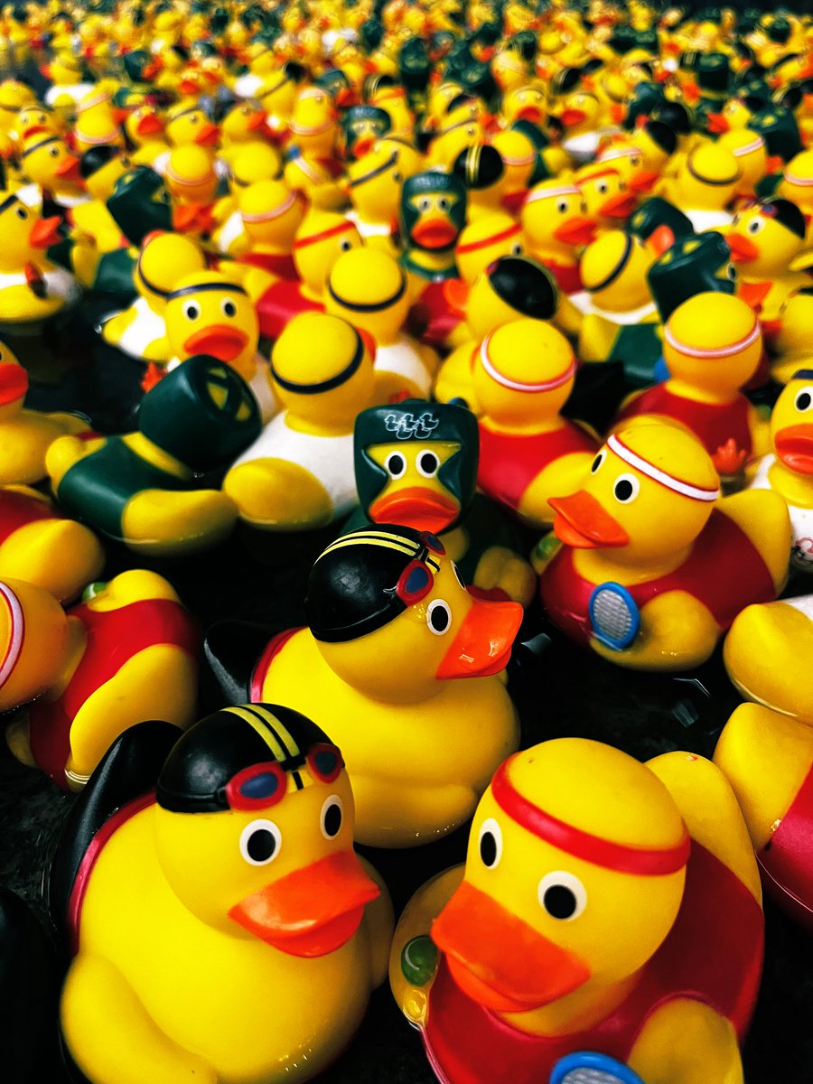 Hoy andamos bien Polanquirri Papawh 🍸