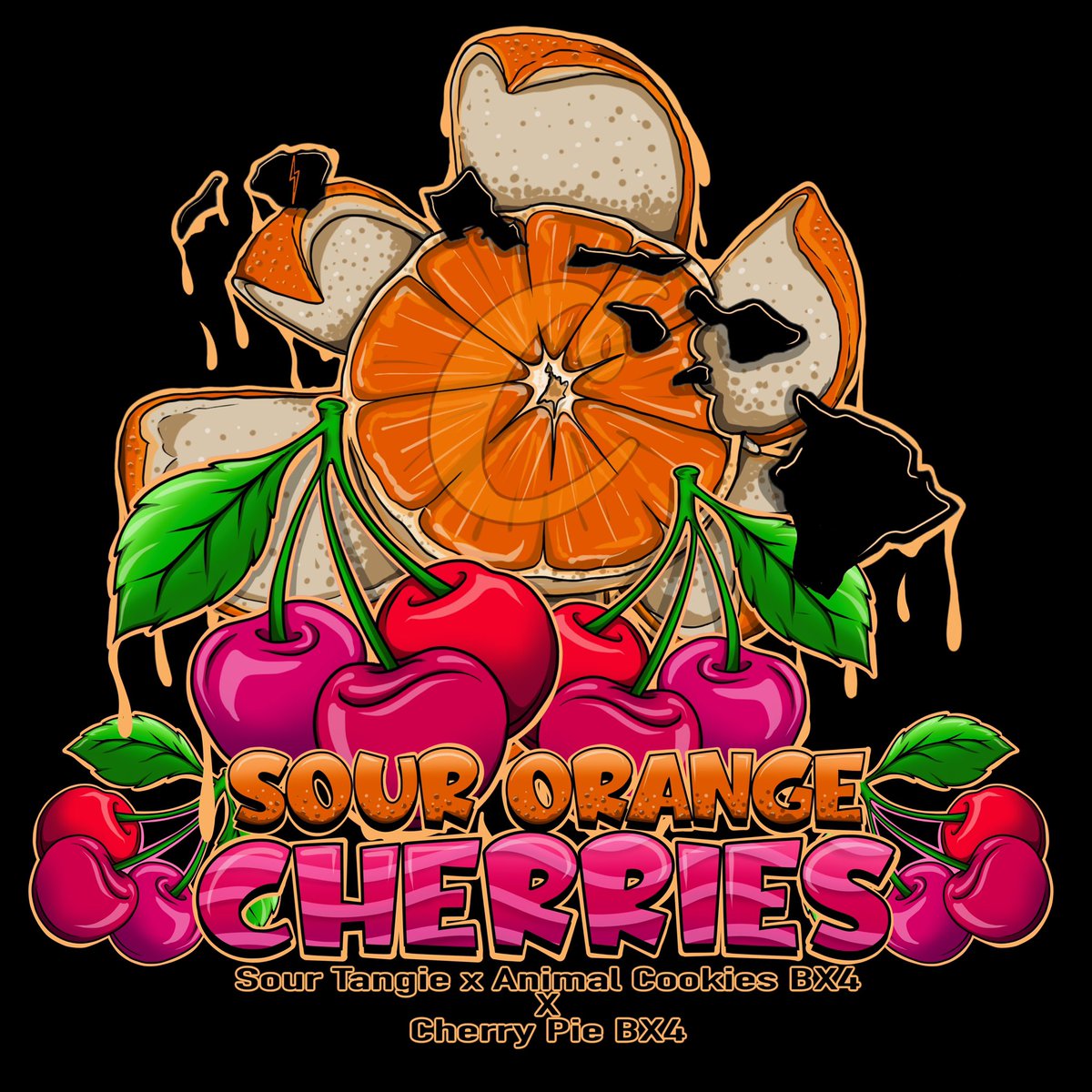 808geneticsjb's tweet photo. Winner of the 808  8 packs from our  cherry pie bx4 menu Giveaway will be announced live on https://t.co/nWggO8ZslE tonight winner must be present 🎁 to claim https://t.co/nZWzPvQ1xC