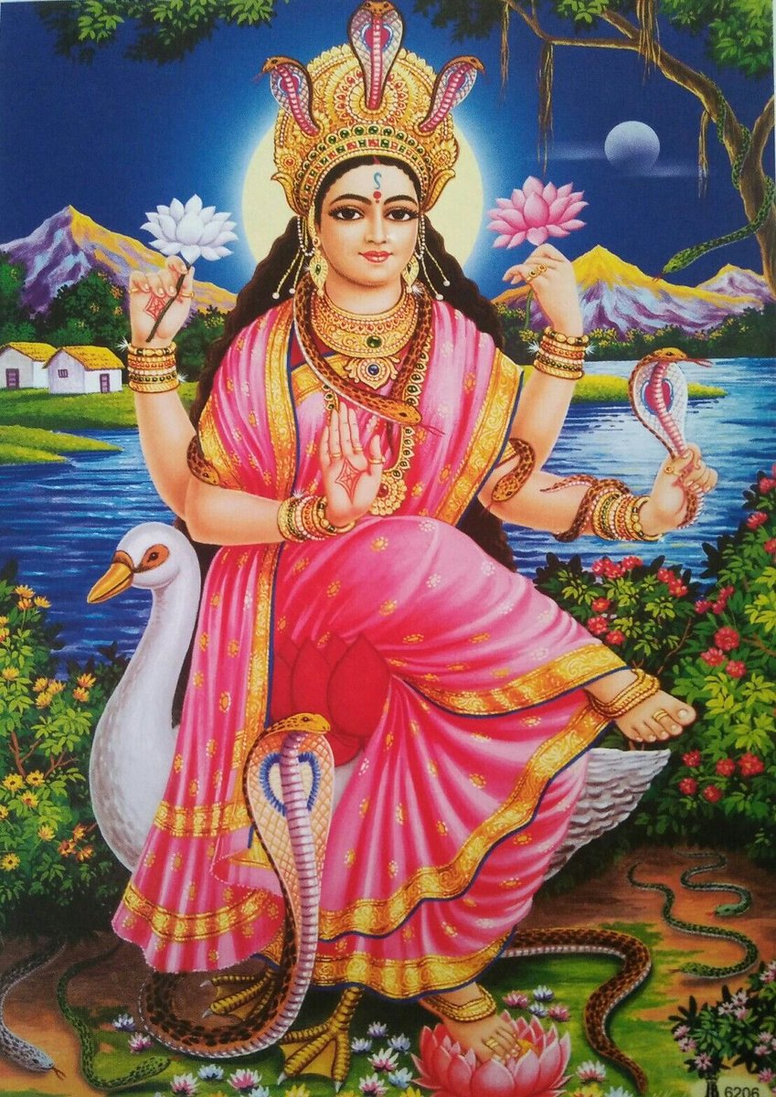 tia_visagie's tweet photo. On this Naag Panchami and blessed Venus Day, let us honor Manasa Devi, the goddess of snakes, beauty, medicines and abundance. Her divine blessings bring safety, prosperity, and deep healing. May her love fill our lives with peace and satisfaction 🐍🌿💚

Om Manasa Devi Namah 🪷 https://t.co/x9gyqqgg97