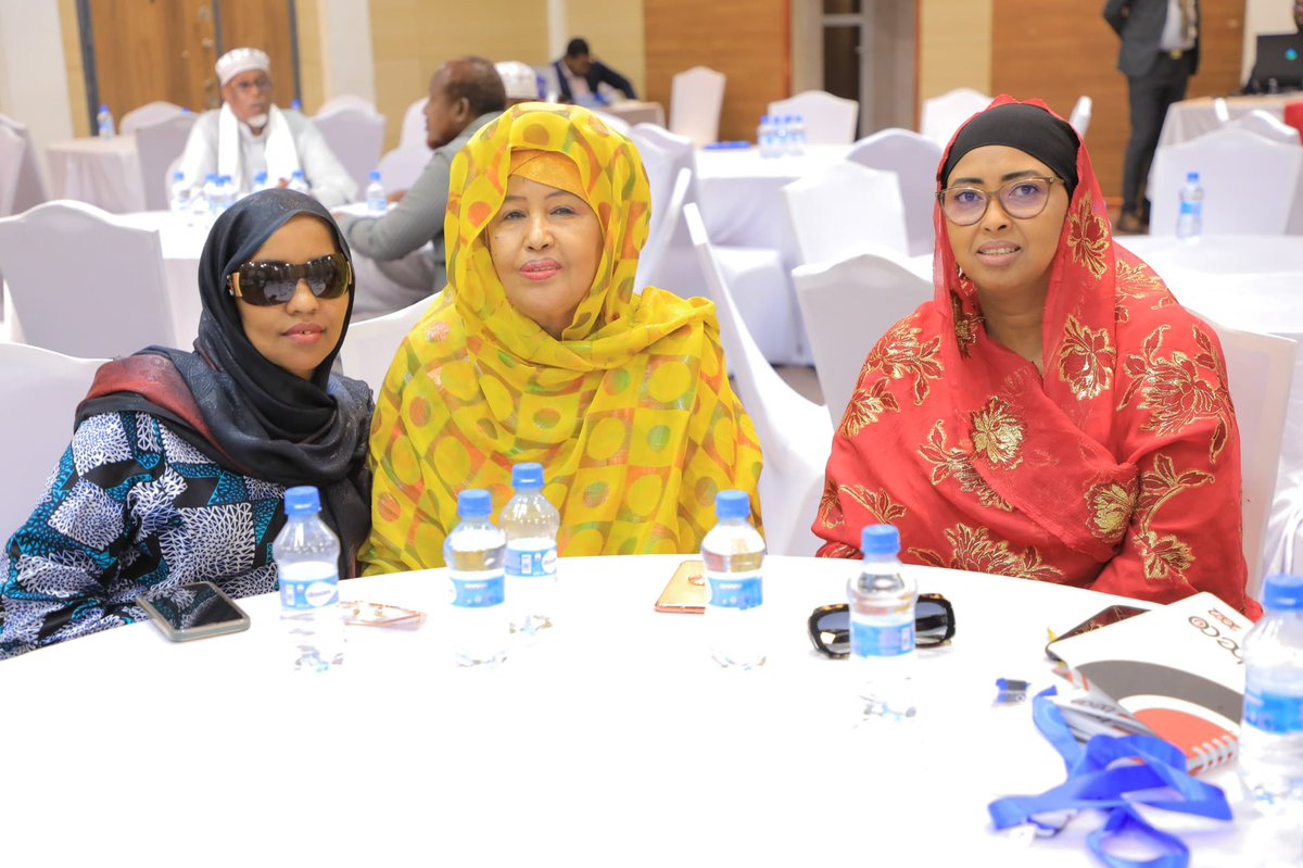 Somali Diaspora Investment Council (SDIC) tweet media