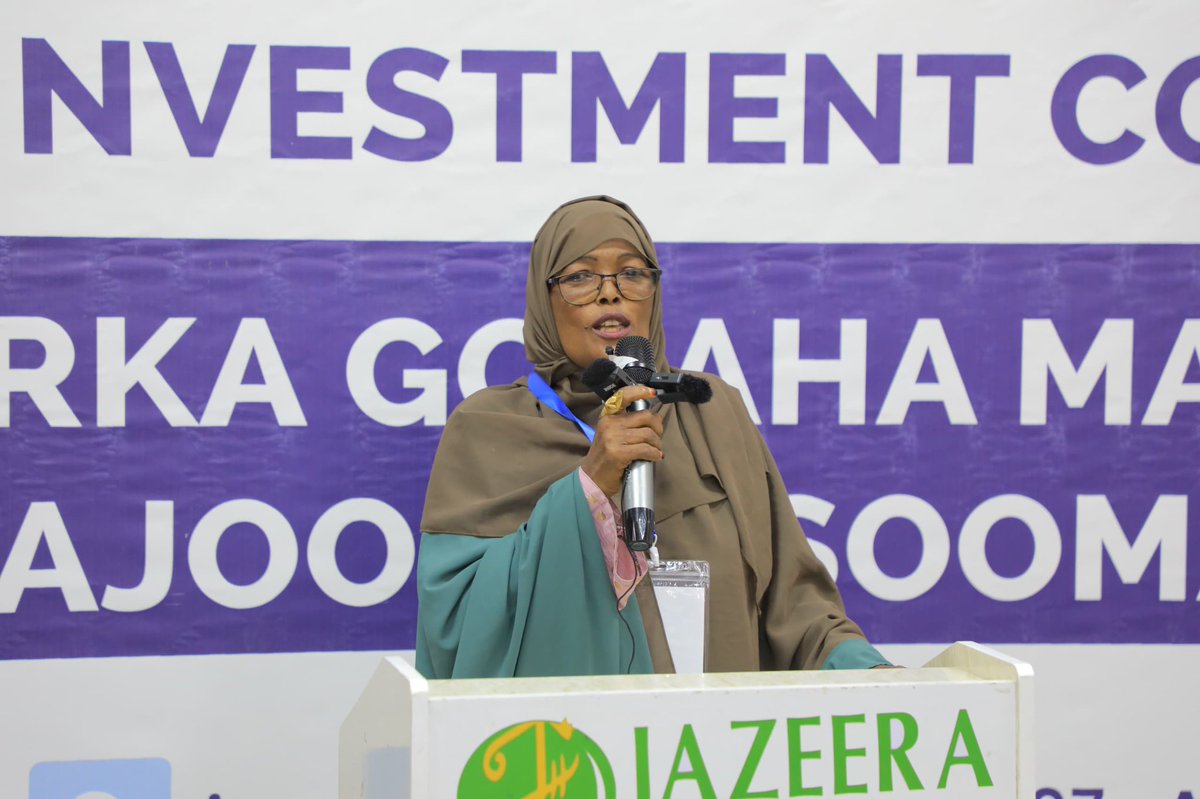 Somali Diaspora Investment Council (SDIC) tweet media