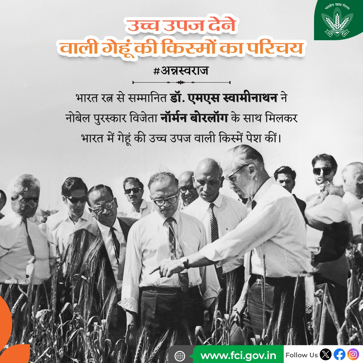 FCI_India's tweet photo. मार्च 1963 में, स्वामीनाथन और बोरलॉग ने रबी (शीतकालीन फसल मौसम) के दौरान उत्तर भारत के खेतों का दौरा किया और स्थानीय वैज्ञानिकों और किसान संगठनों की मदद से मिट्टी और नई अर्ध-बौनी किस्म का परीक्षण किया। #अन्नस्वराज्य #AnnaSwaraj #FreedomByFoodSecurity https://t.co/zYbFr8AopB