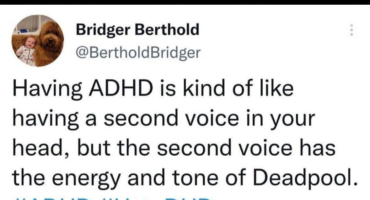 ADHDForReal's tweet image. 