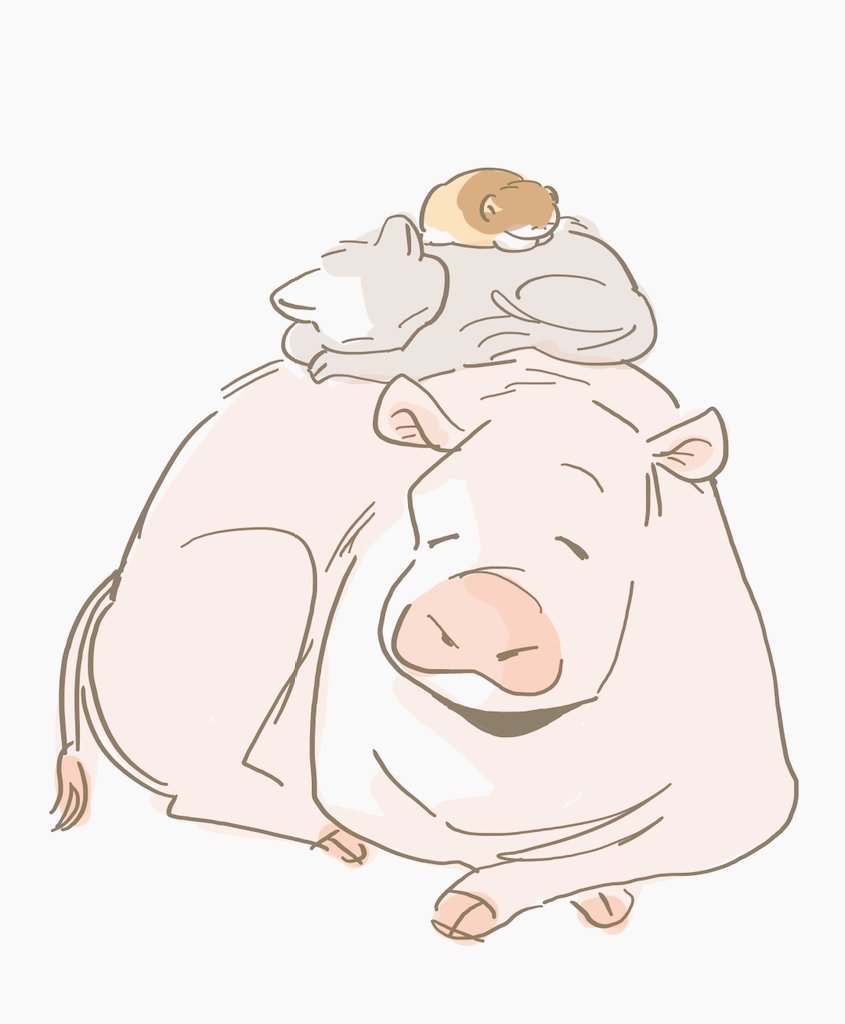 낮잠 자는 시참횐이들