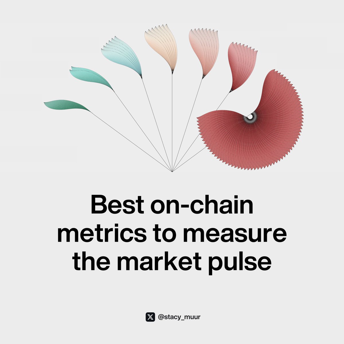 When in doubt, zoom out – a classic slogan of any market.

But what other essential metrics should you track to stay grounded and identify trend reversals?

Here's my compilation ↓