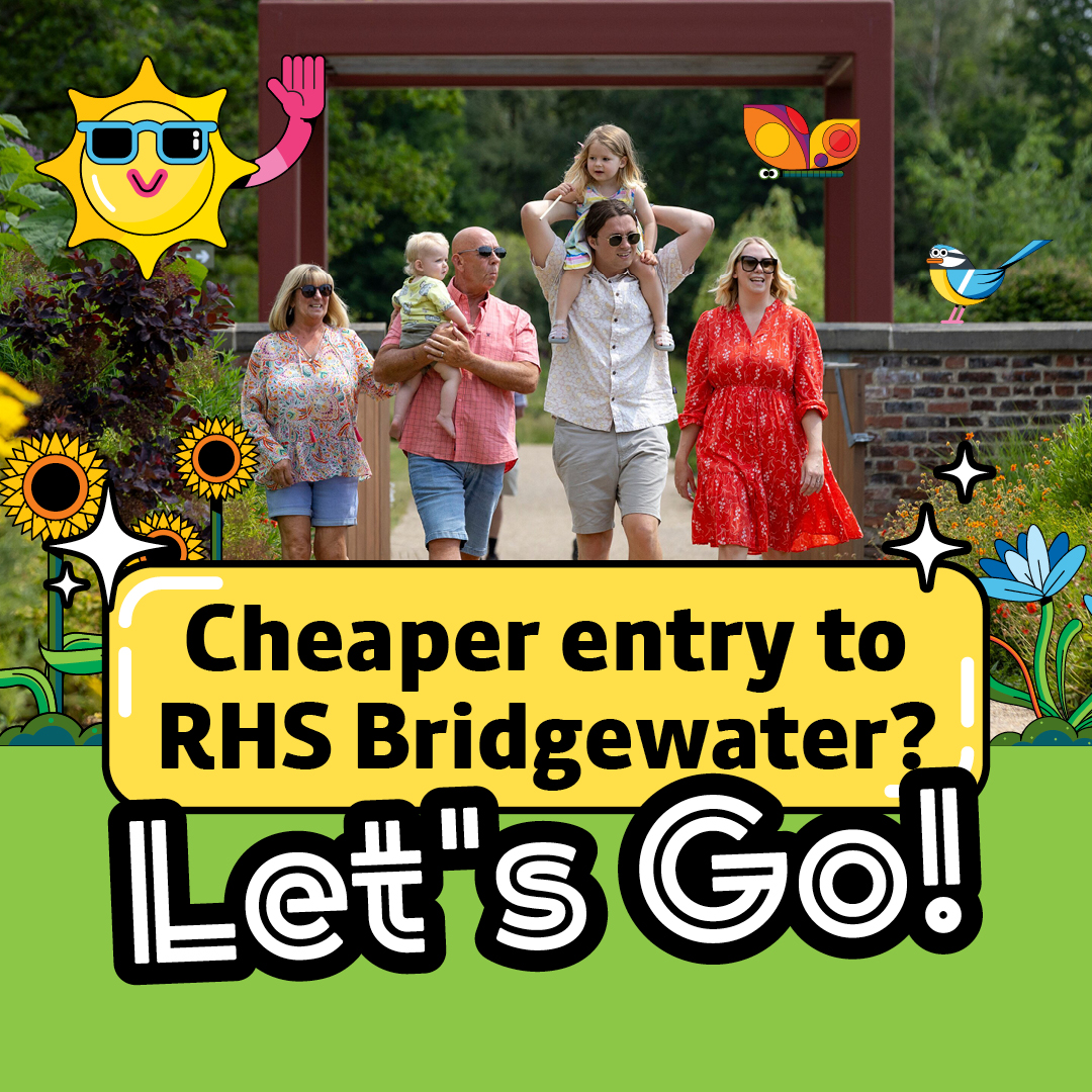 Bee Network (@beenetwork) on Twitter photo Get 30% off entry to <a href="/RHSBridgewater/">RHS Bridgewater</a> if you go by public transport. 🌺
Take the X50 bus from Piccadilly via the Trafford Centre.
Plan your journey: tfgm.com/plan-a-journey Get 30% off entry to <a href="/RHSBridgewater/">RHS Bridgewater</a> if you go by public transport. 🌺
Take the X50 bus from Piccadilly via the Trafford Centre.
Plan your journey: tfgm.com/plan-a-journey