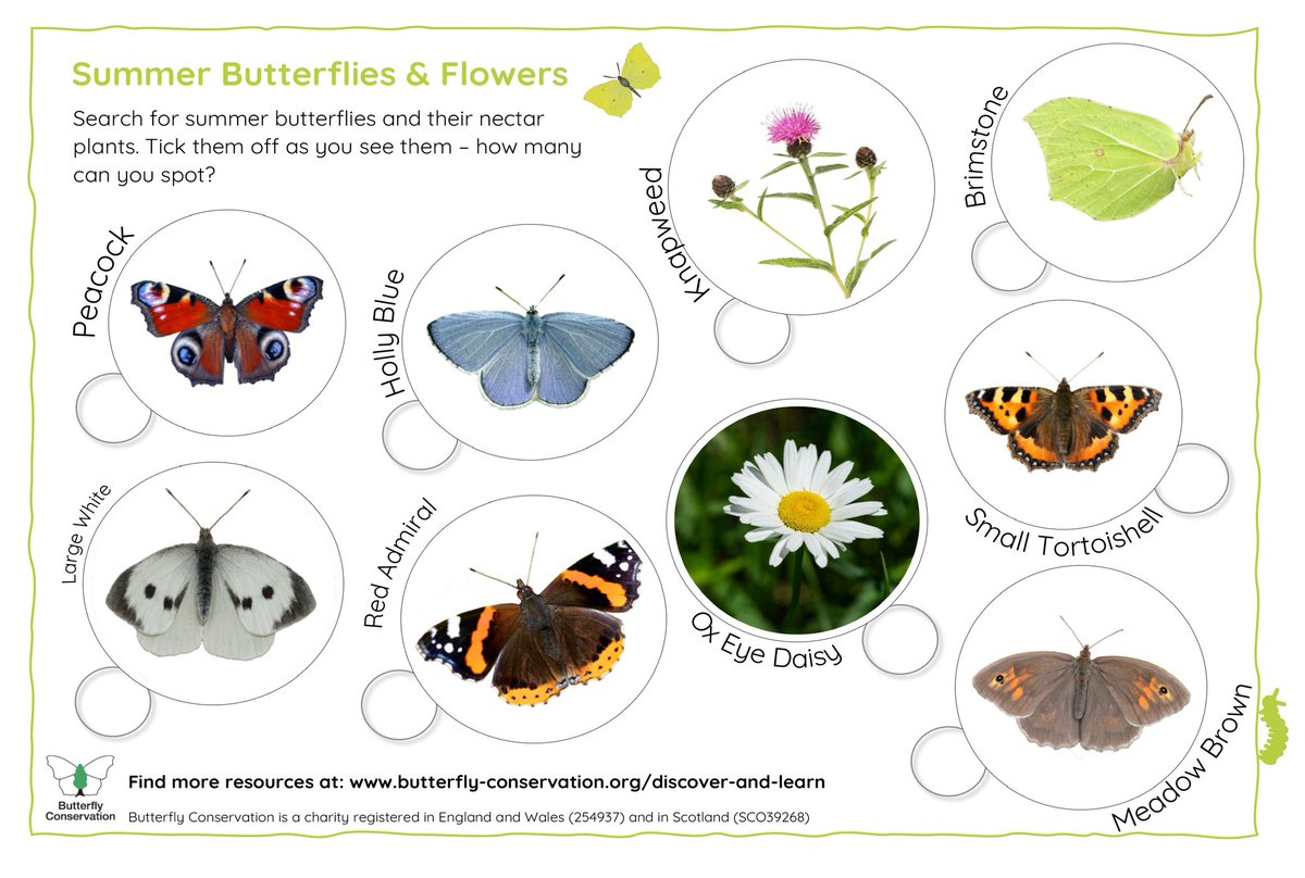 Our Discover &amp; Learn hub is full of activities to keep the kids amused this #SummerHolidays 🦋🔍

Why not head out with the family and see how many of these summer butterflies and flowers you can spot? 

Download the spotter sheet 👉 butrfli.es/3nbazVw