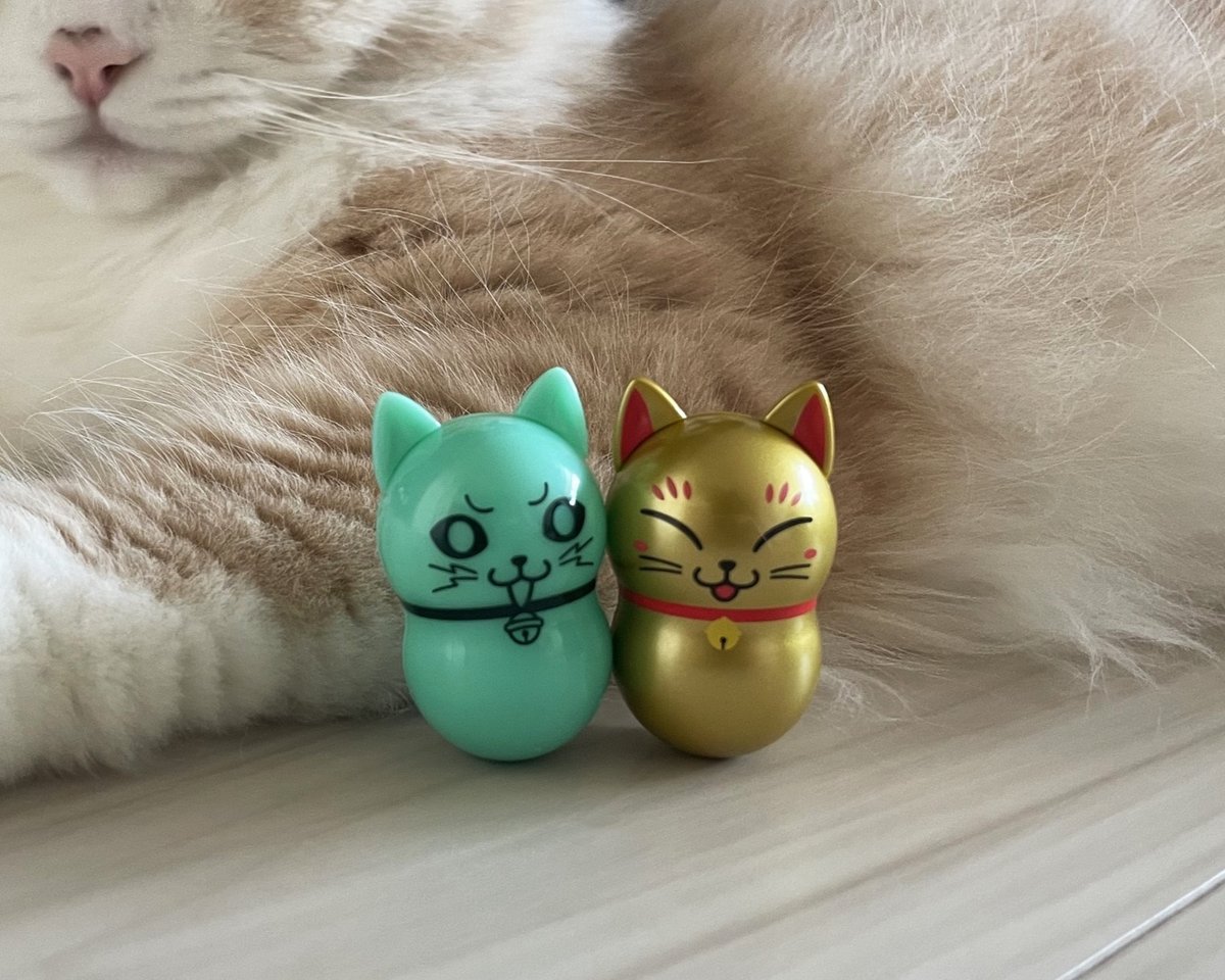 😼シークレットを解禁😼／ お菓子売り場で発売中の『#クーニャッツ』の