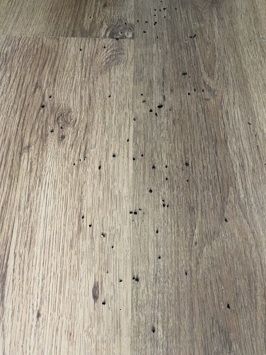How you know your wifey is back coaching! 😅… and it begins! <a href="/MPervinDavies/">Michelle Pervin-Davies</a>