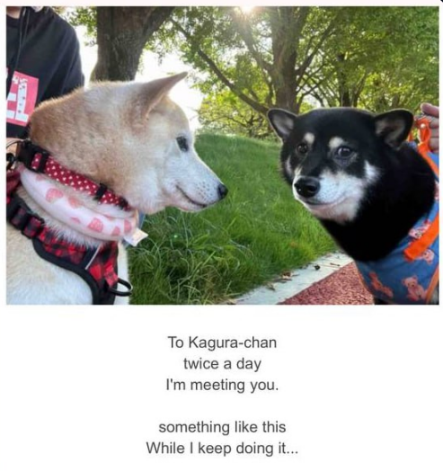 Lets meet more than twice a day. #KAGURA 

How about every second of every day. Lets be together at the top #ETH #KABOCHAN