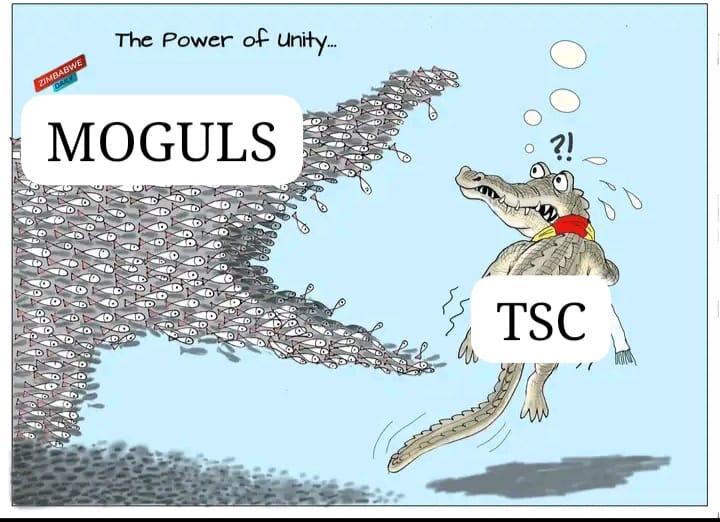 Intern teachers in Kenya are a discouraged lot,paid peanuts as stipend and expected to implement CBC, demoralised and mistreated...
#confirm46kJssInterns