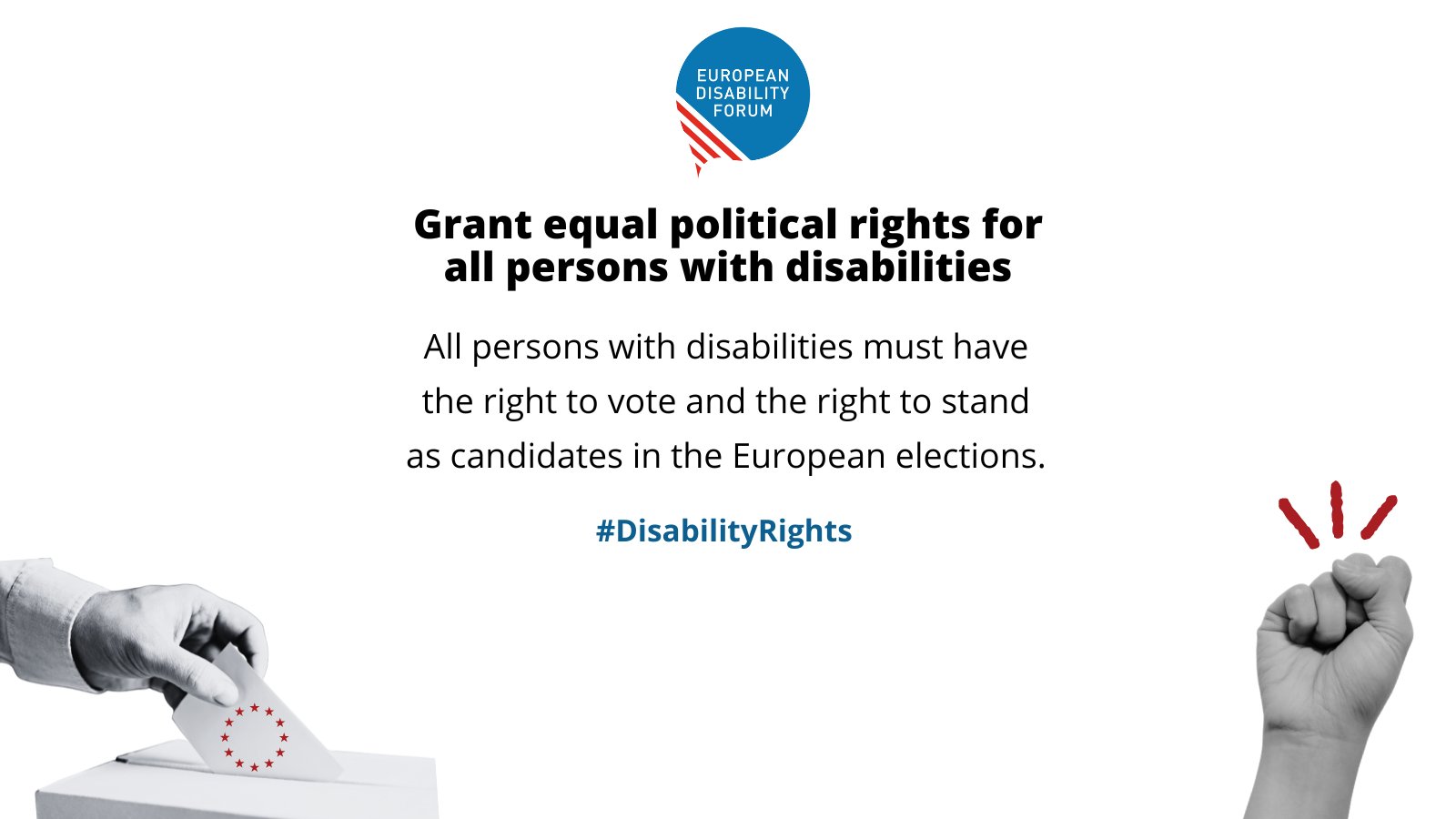 European Disability Forum on X: &ldquo;In the last #EUElections, persons 