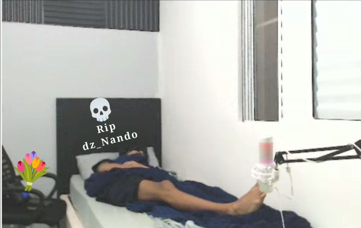 Lua_0I0's tweet photo. @dz__nando  já começou falando que é meme kkkk não leve nada da qui a sério 

Dei o nome de 
(1) Emo
(2) Lanterna da pixar 
(3) Rip Nando https://t.co/NuyggJWM5O