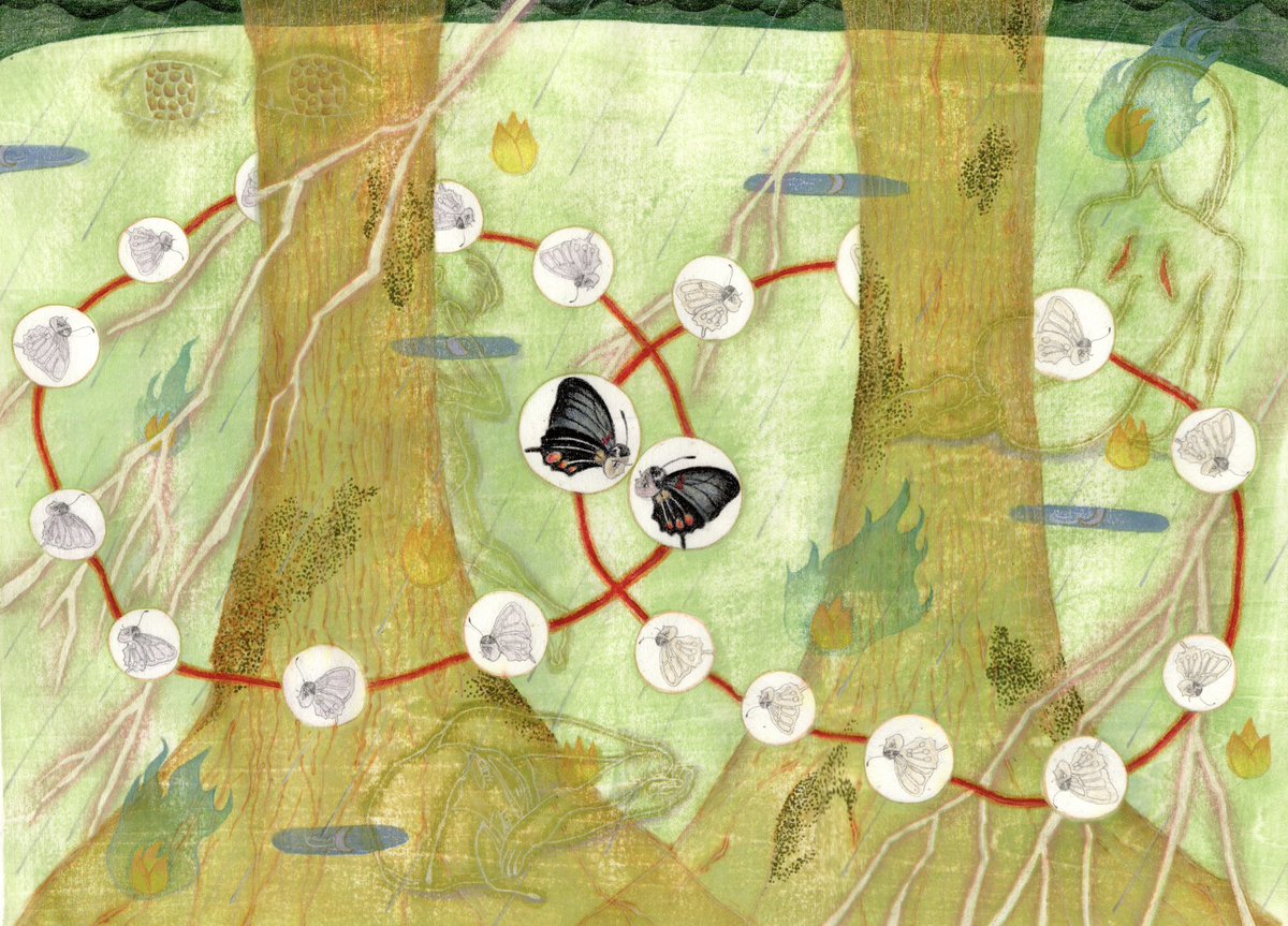 蝶道（the butterfly path）