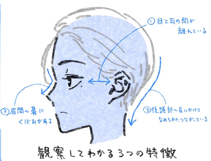 横顔を描くときのポイントメモ✍️ 