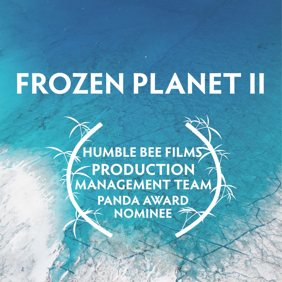 BBC Studios tweet media