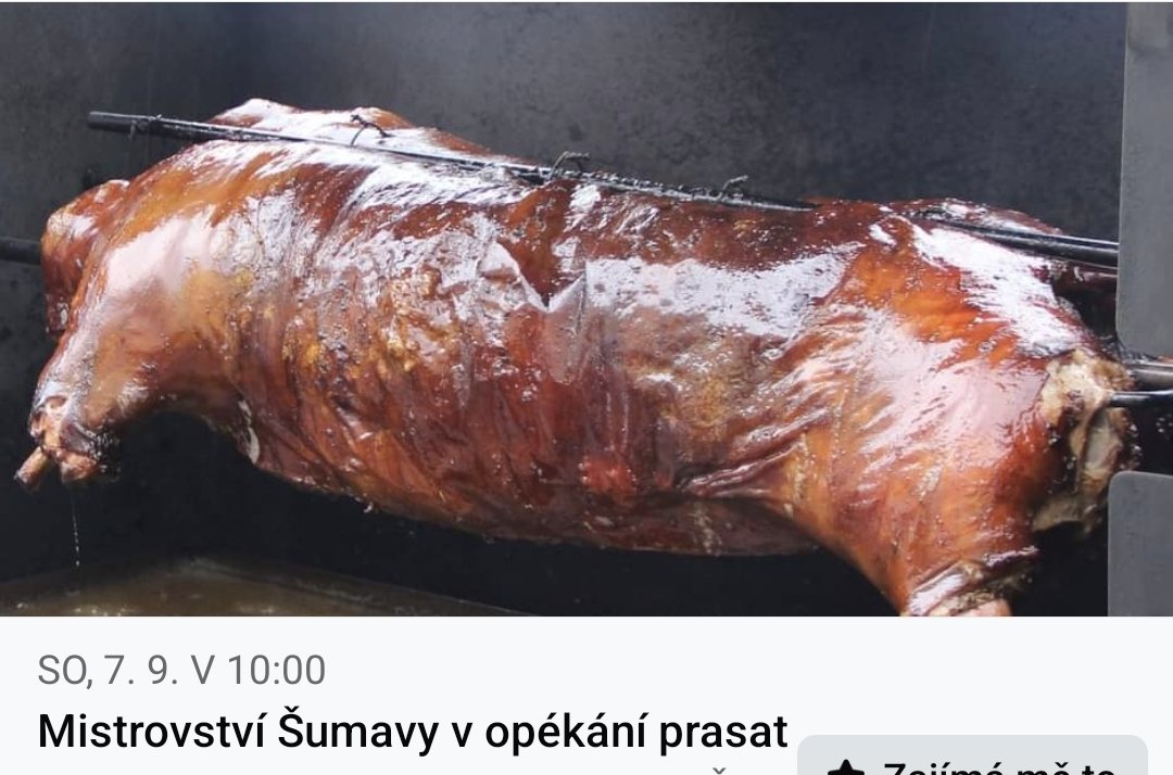 Honza Palička tweet media