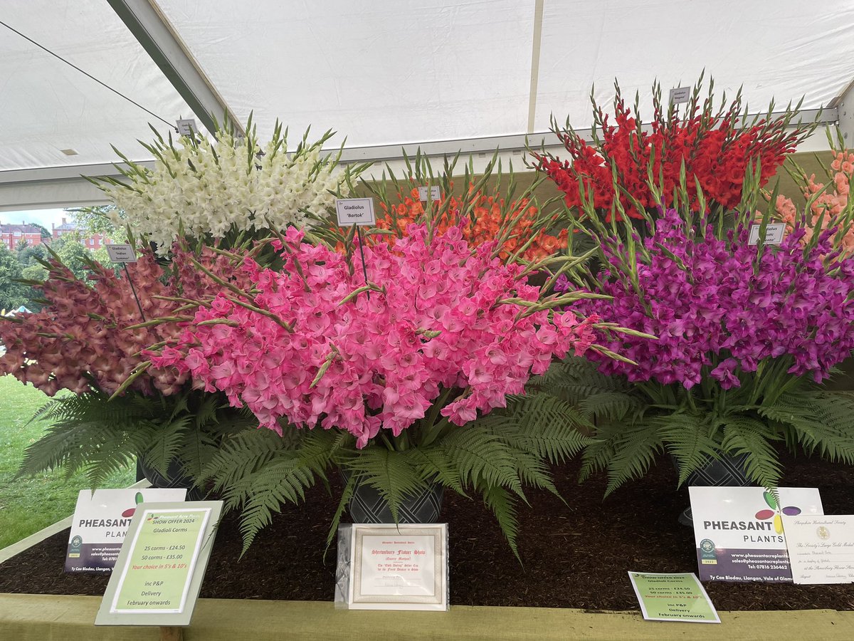 The HR Dept Shropshire (@hrdeptshrop) on Twitter photo August = <a href="/ShrewsFlowerShw/">Shrewsbury Flower Show</a> ! Out with <a href="/ShrewsBusiness/">ShrewsburyBusiness</a> at at #business #breakfast (we ❤️our #hr jobs!) August = <a href="/ShrewsFlowerShw/">Shrewsbury Flower Show</a> ! Out with <a href="/ShrewsBusiness/">ShrewsburyBusiness</a> at at #business #breakfast (we ❤️our #hr jobs!)
