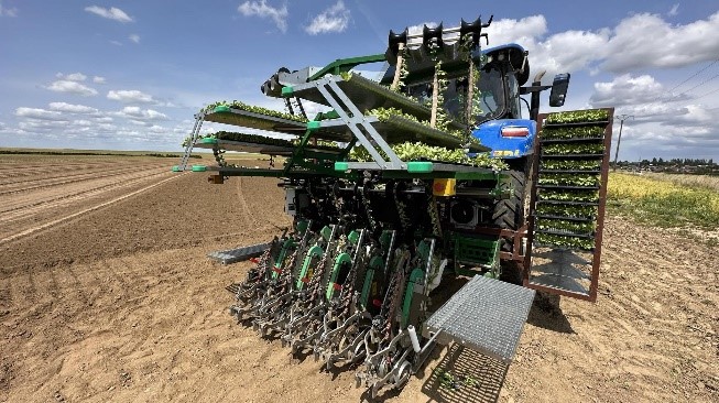 On vous dévoile une nouveauté à découvrir sur Innov-Agri 🤫

Connue pour le désherbage alternatif, NOVAXI élargit sa gamme avec du semis de précision STANHAY et de la plantation de précision PlantTape !

A retrouver stand B75

#InnovAgri2024 #Agriculture #VotreFuturEnAction