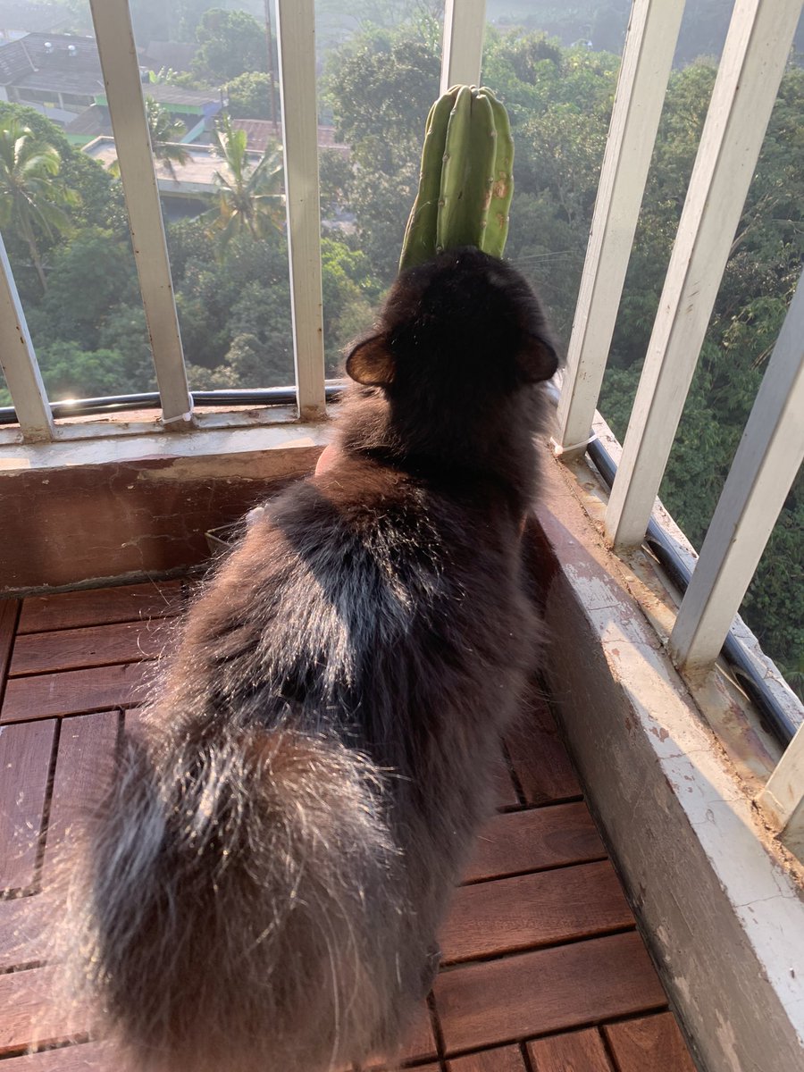 You are my sunshinee, you are my tutug sunshine ~~~