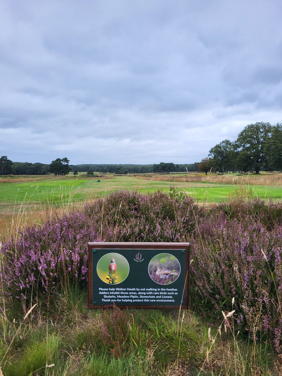 Liam Burns tweet media