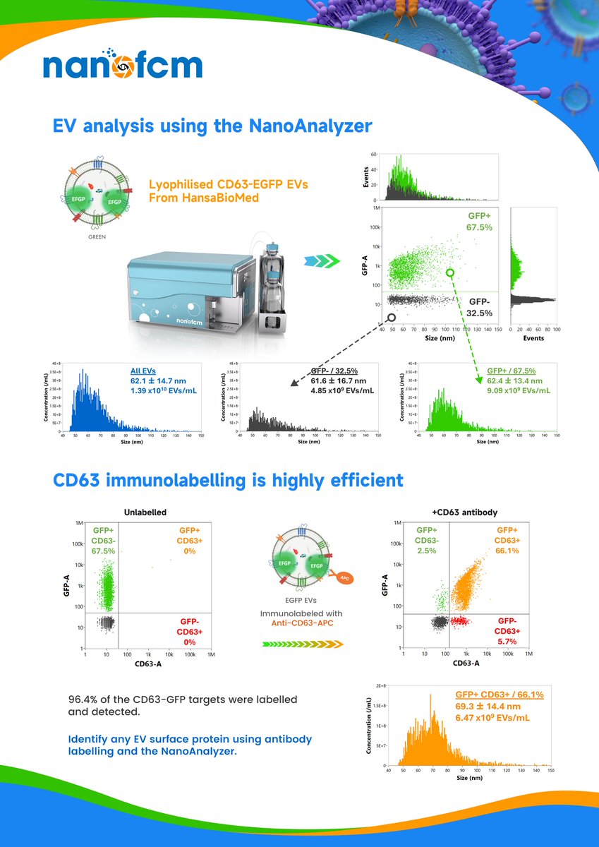 NanoFCM (@nano_fcm) on Twitter photo Nano-flow cytometry detects fluorescent particles, identifying phenotypes via labeling. NanoAnalyzer measured GFP-CD63 EVs, calculating concentration & size. GFP+ EVs gated, showing distribution. Antibody staining >95%. NanoFCM's NanoAnalyzer accelerates nanoparticle research! Nano-flow cytometry detects fluorescent particles, identifying phenotypes via labeling. NanoAnalyzer measured GFP-CD63 EVs, calculating concentration & size. GFP+ EVs gated, showing distribution. Antibody staining >95%. NanoFCM's NanoAnalyzer accelerates nanoparticle research!