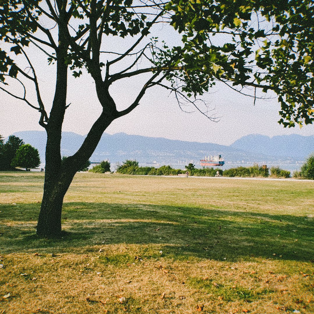 sam king tweet media