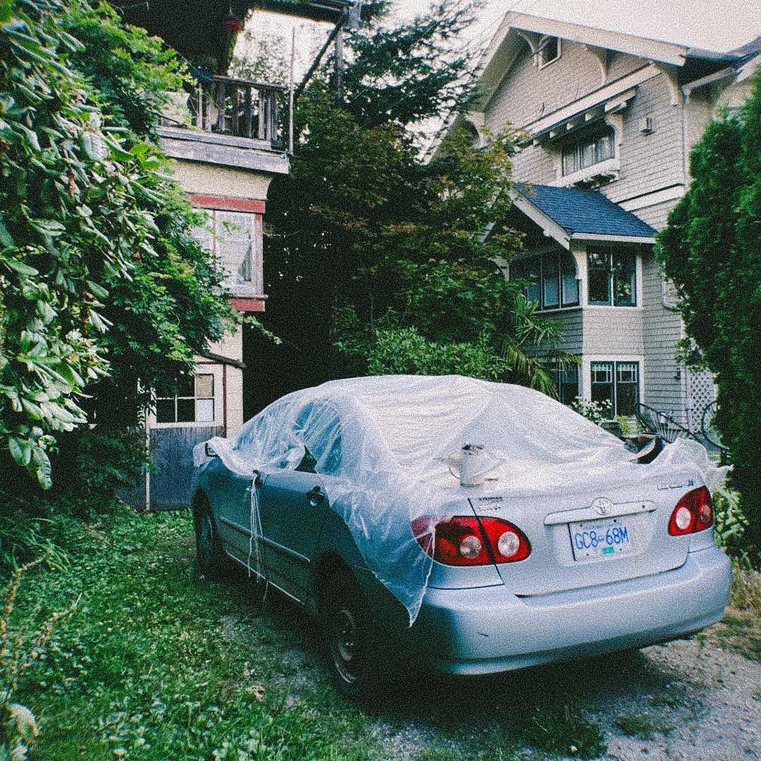 sam king tweet media