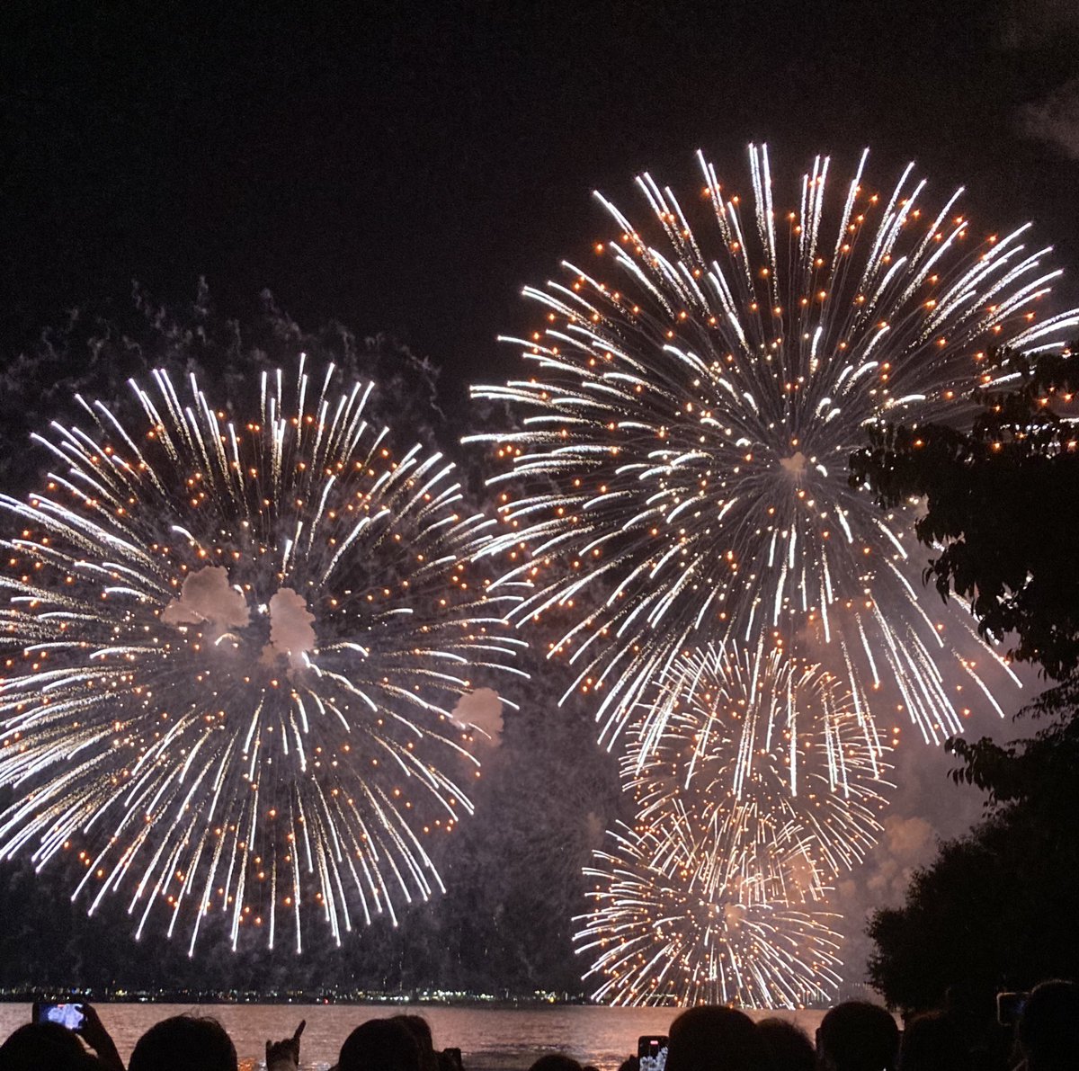 みさち tweet media