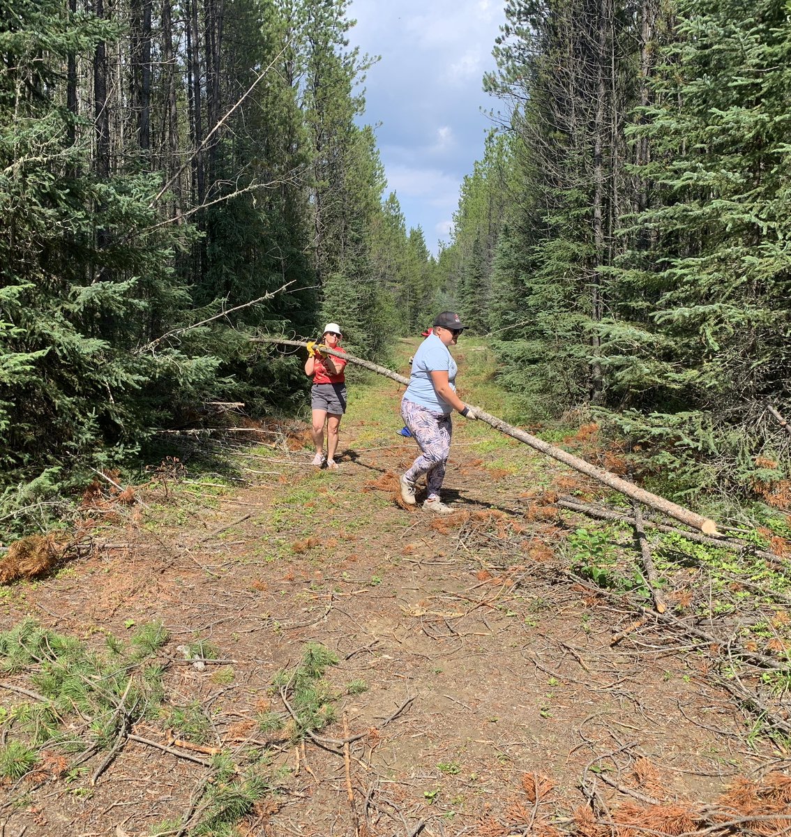 Indigenous Education Council tweet media